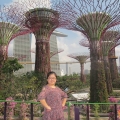 新加坡空中花园