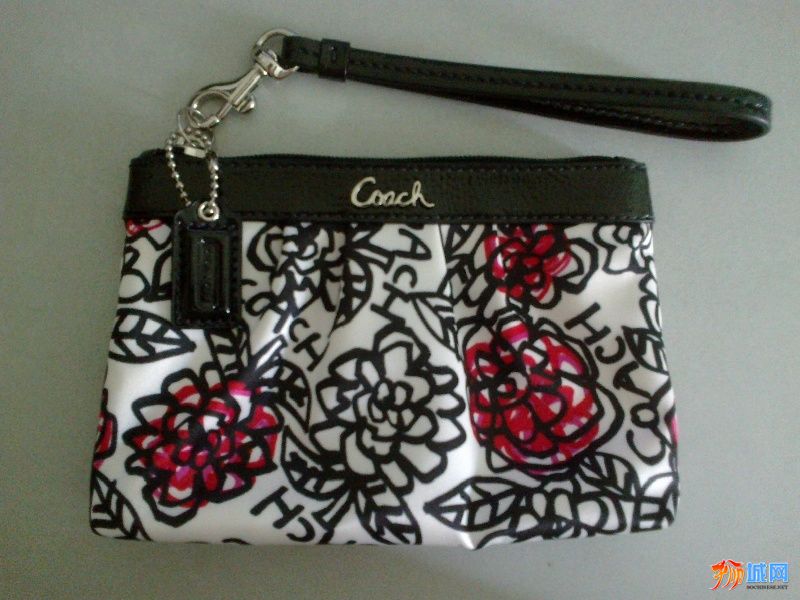 coach pouch-1.jpg