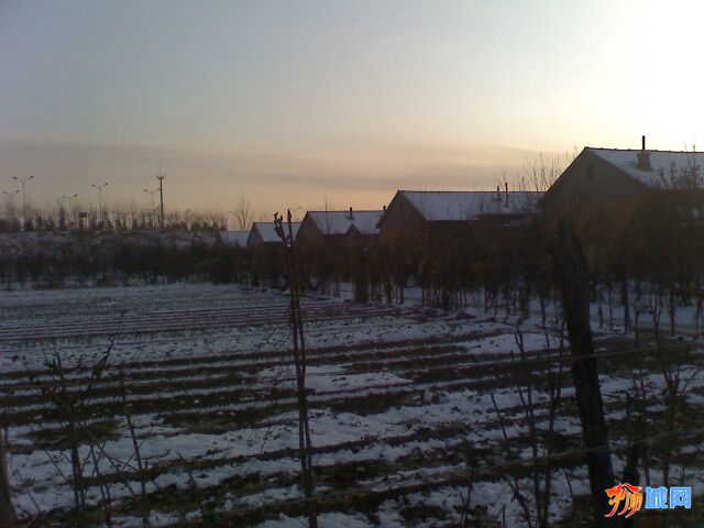 moto_1511.jpg