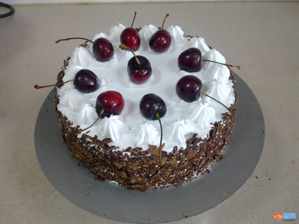 Black forest_08.01.2011_1.jpg