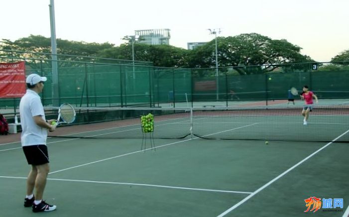 教网球