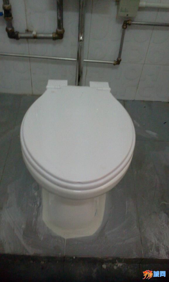 toilet photo.jpg