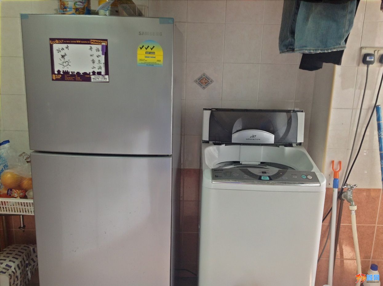 洗衣機和電冰箱.JPG