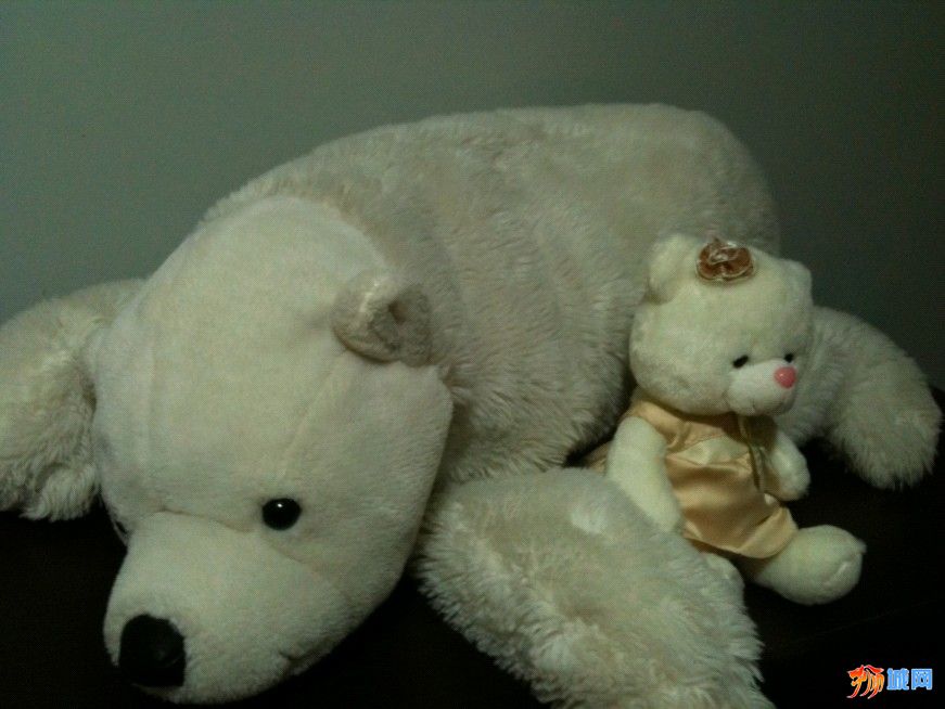 白熊&维尼熊（两个一起可或单卖大只,小熊)