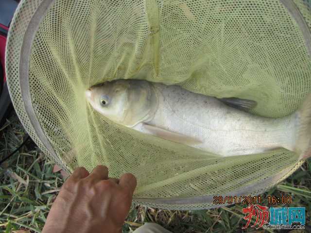 121_fishing_park_bangkok_005_692.jpg