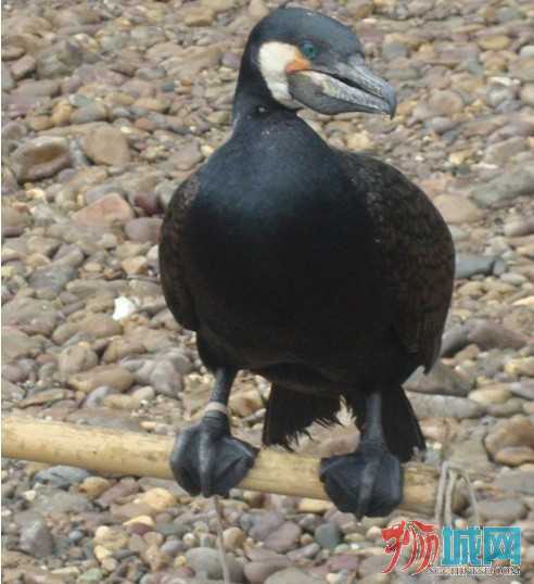 未命名7.jpg
