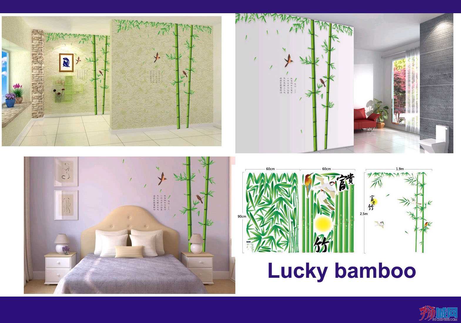 Lucky bamboo.jpg