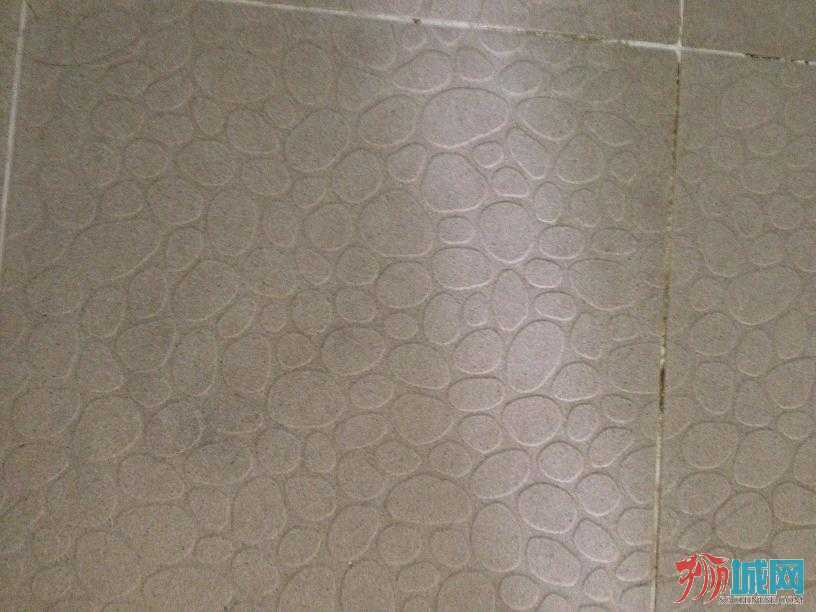 照片 4231.jpg