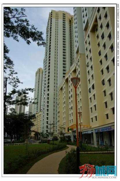 1270017810_84639228_1-Pictures-of--HOT-NICE-31-unit-to-rent-blk-79E-Toa-Payoh.jpg