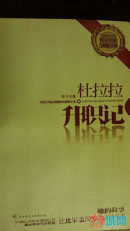 杜拉拉2块