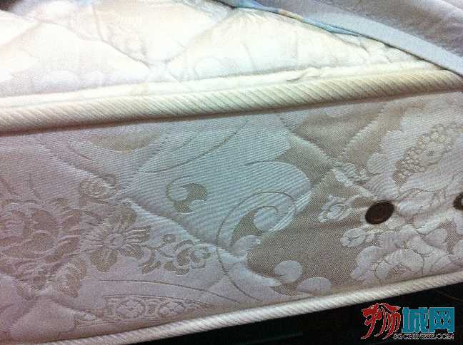 照片2.JPG