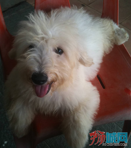 QQ截图20130310121830.png