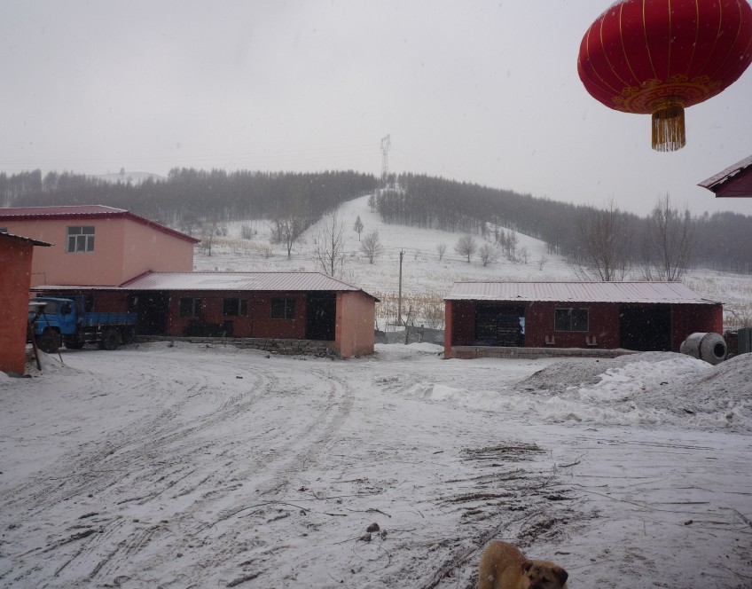 20130518134002.jpg