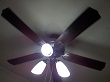 celling fan with  lights