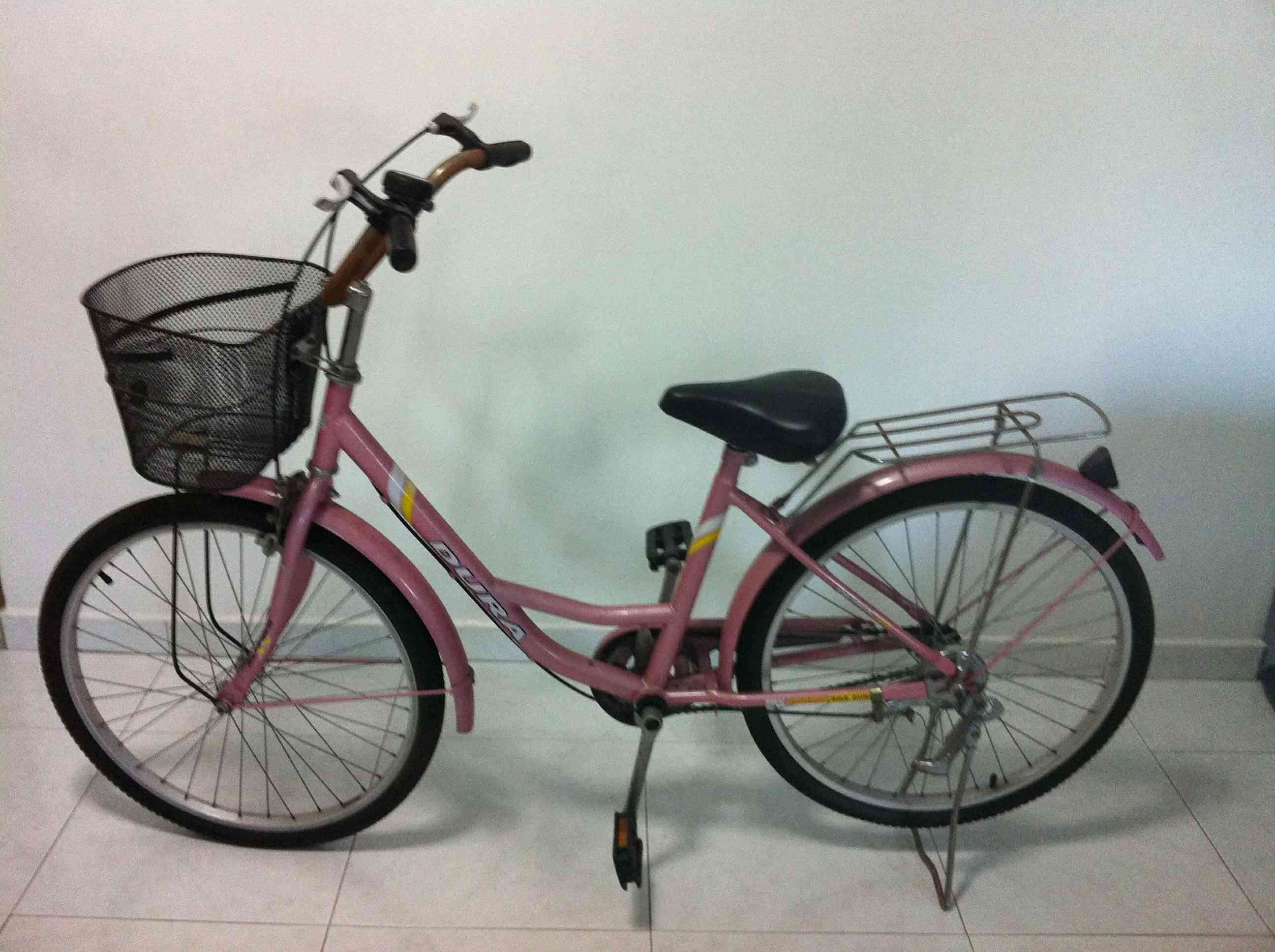 bicycle pink.JPG
