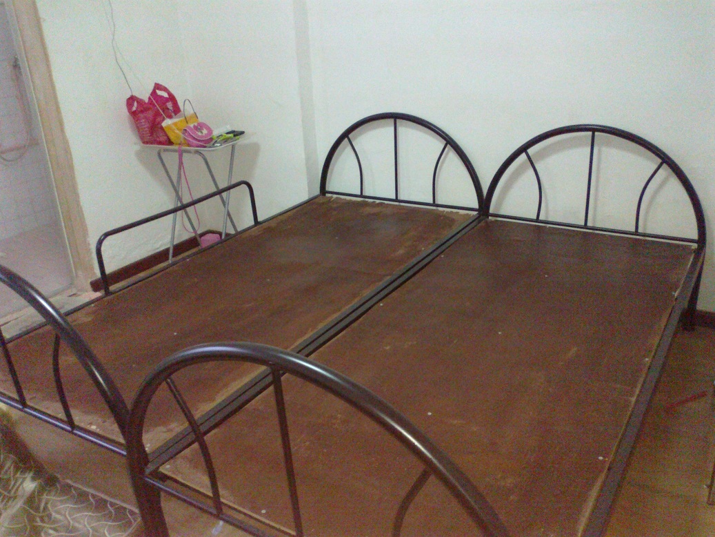 20131117637.jpg