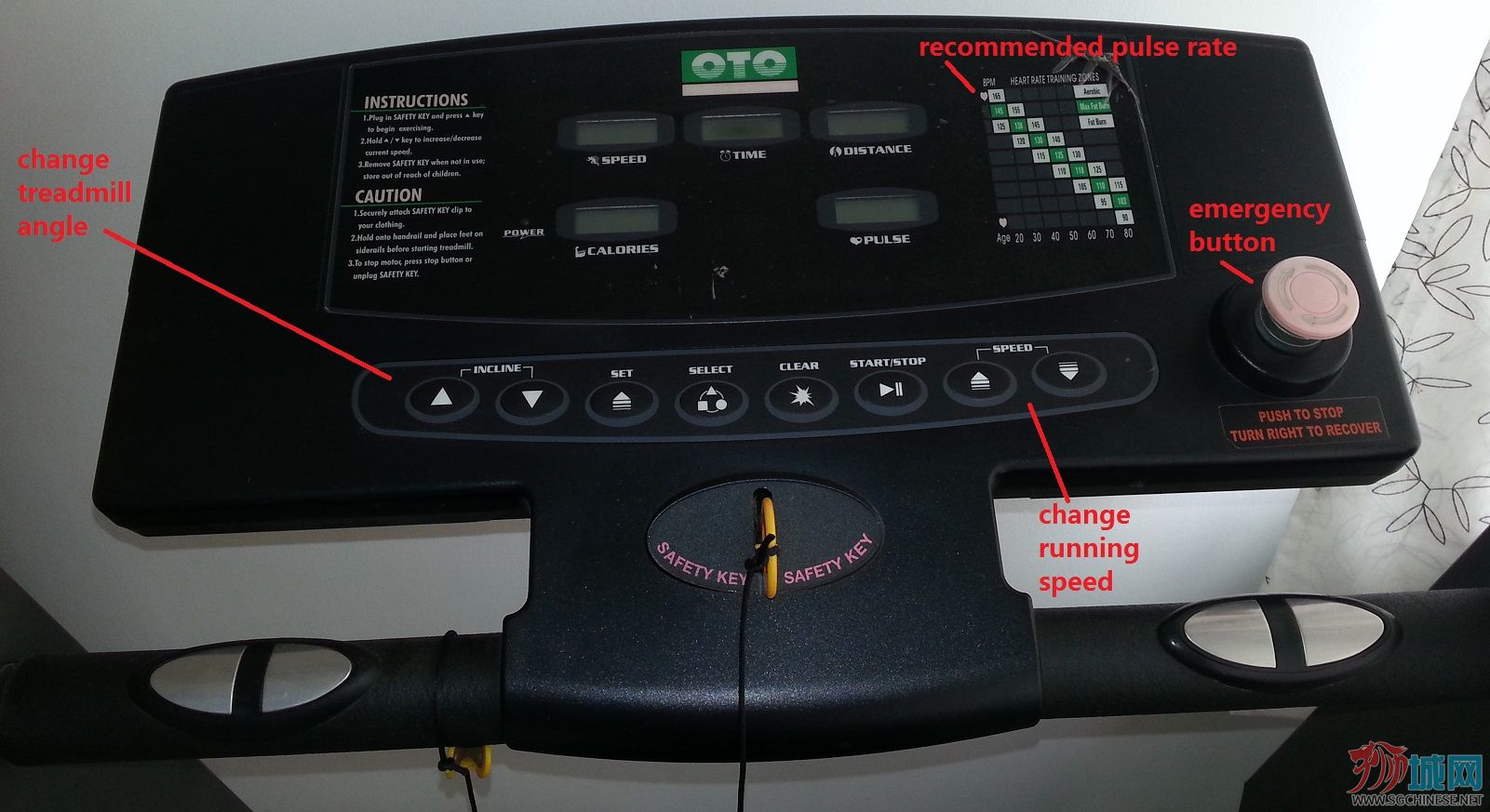 Treadmill 2.jpg