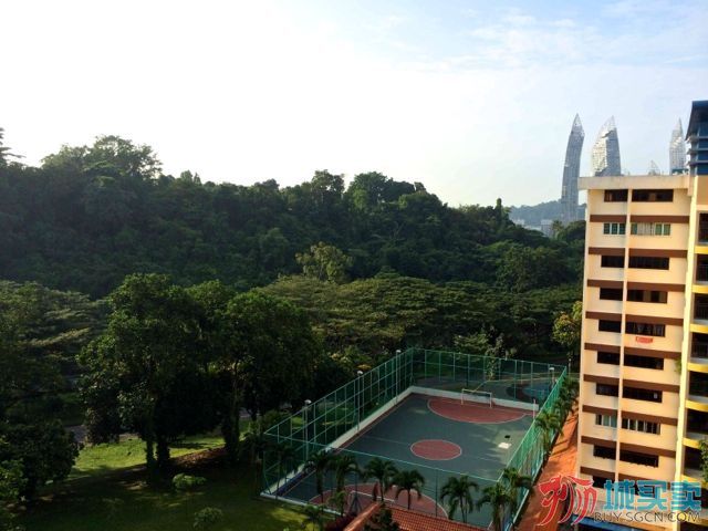 view_from 11th floor.jpg