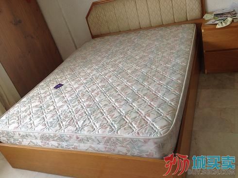 实木双人床+双人床垫 250