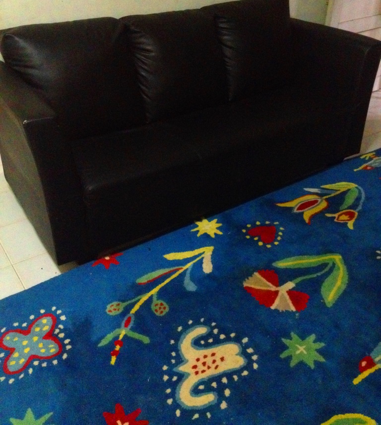 黑皮革沙发地毯.jpg