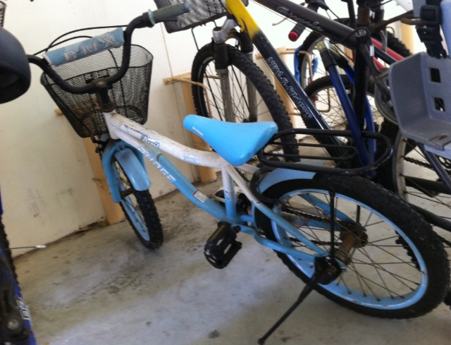 bicycle blue.jpg