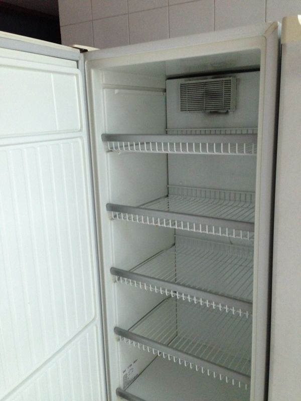 Freezer 2.png