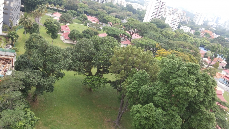 20140925_163746.jpg