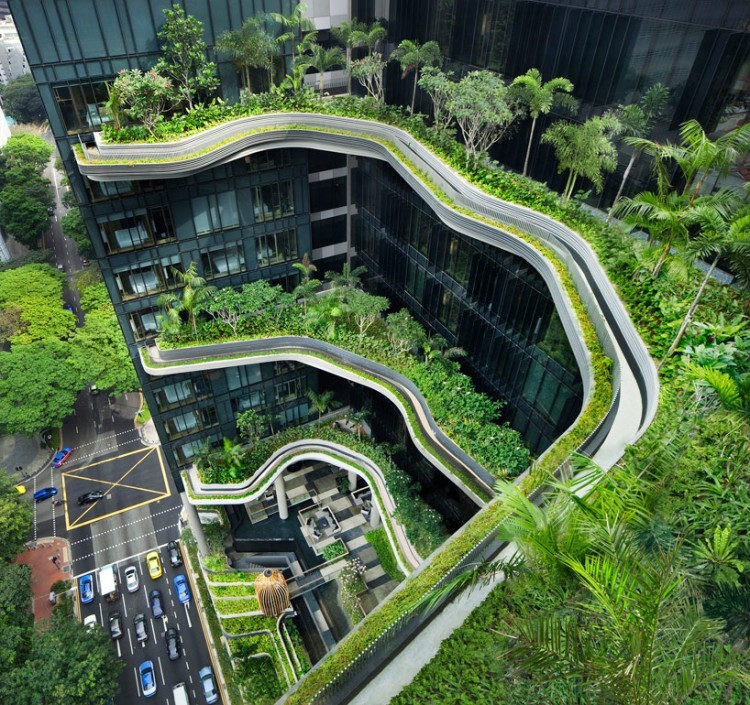 【狮城论坛】新加坡花园城市之路:10年一规划 50年一直坚持