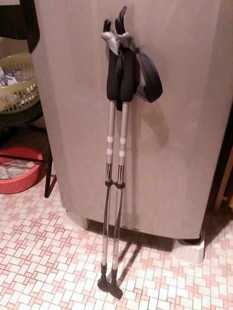 $45=alpenstock.jpg