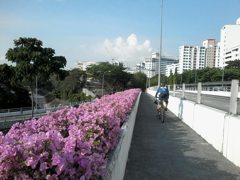 上班路上