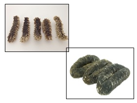 Dried Sea Cucumber.jpg