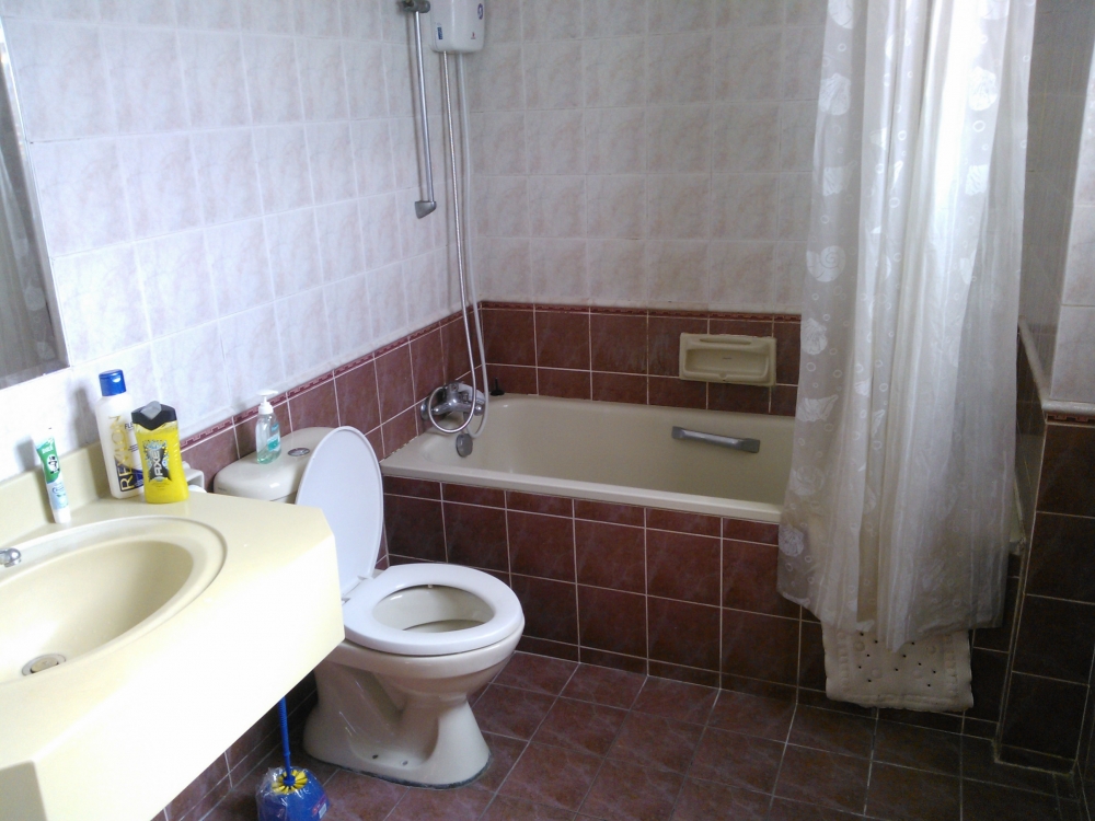 WP_002924.jpg
