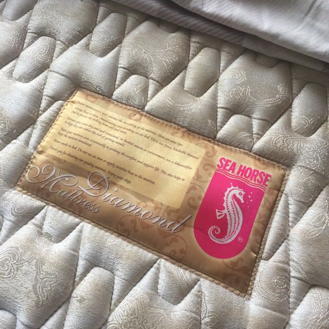 king_sized_bed_with_seahorse_mattress_1455939792_68982f76.jpg
