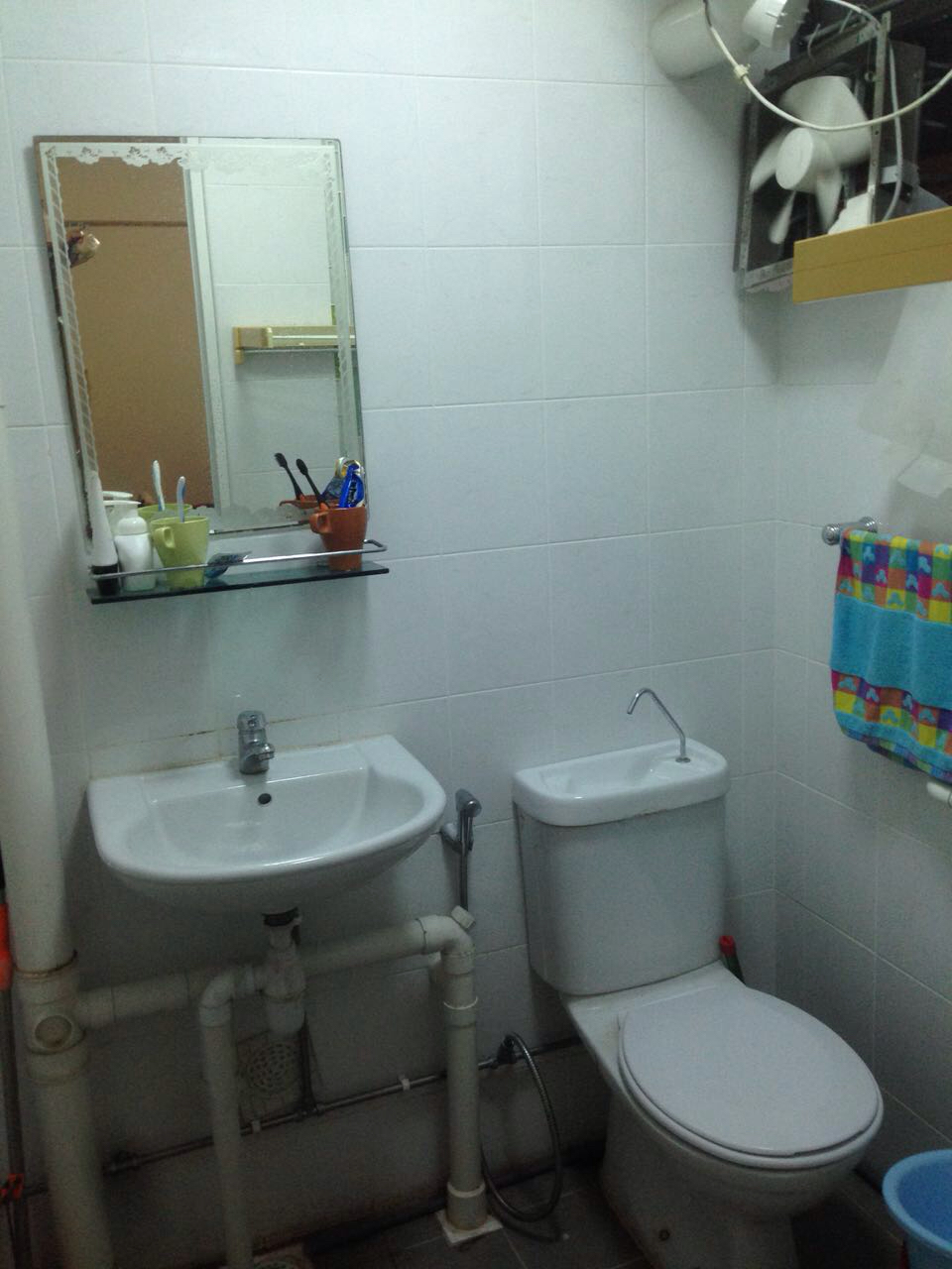toilet3.jpg