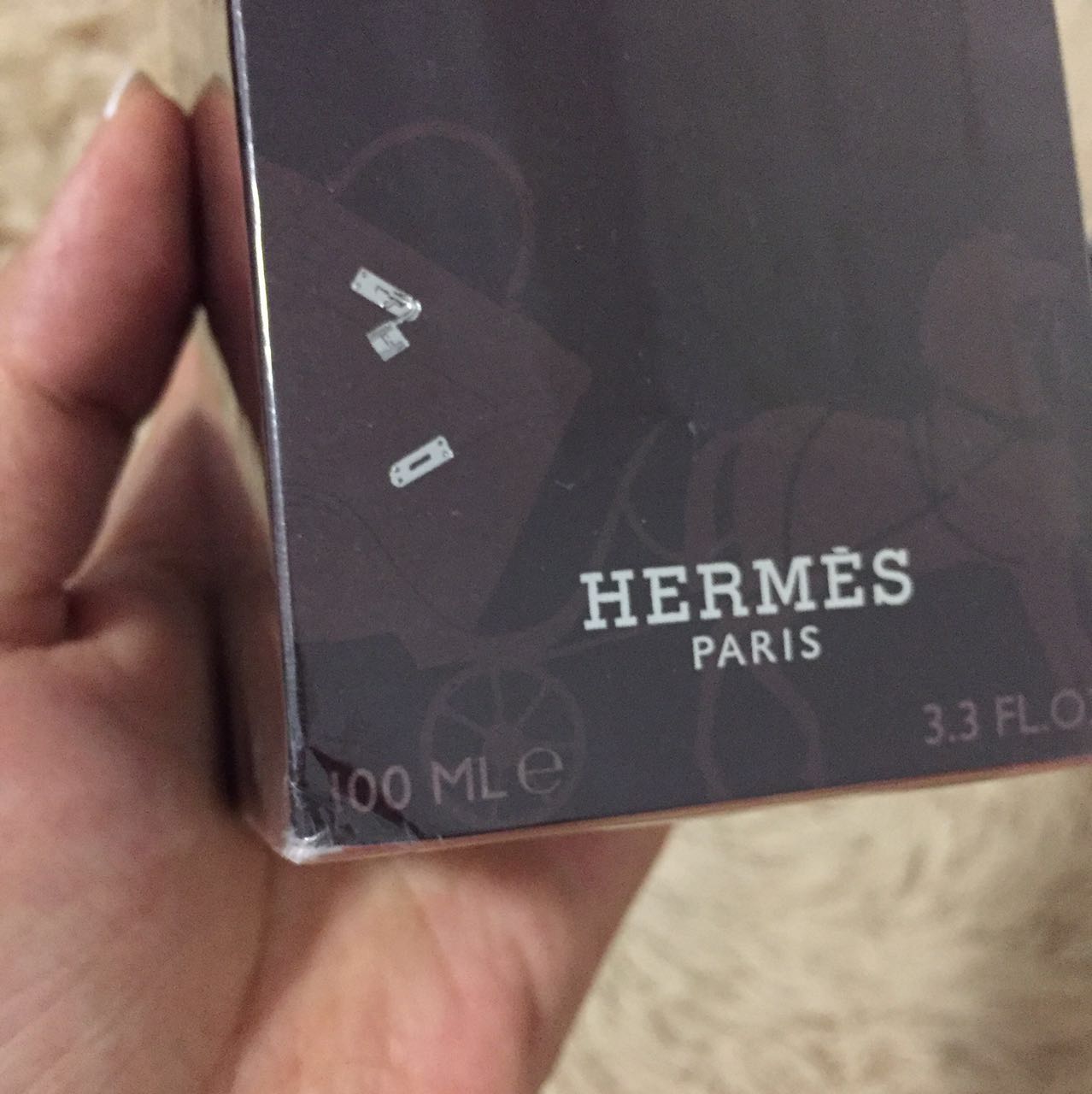 HERMES 2.jpg
