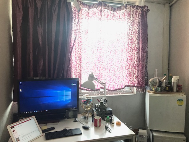 window.jpg