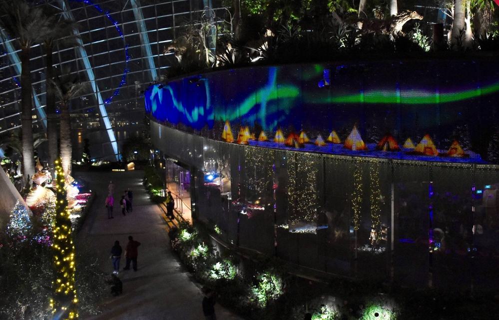 20171110-sg-gbtb-xmas-floral-display-4-data.jpg