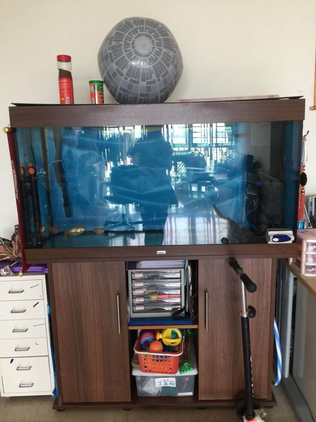 进口品牌鱼缸，上下可分，全套500，附带小鱼及所有关于养鱼的东西；买时几千块喔！ ... ... ... ... ... .. ...