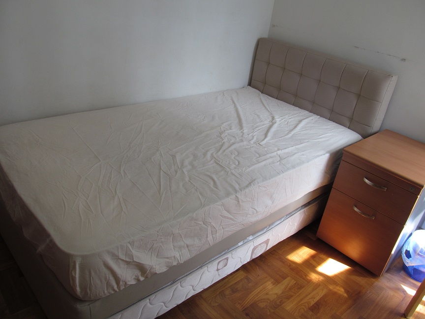 single bed frame_mattress.JPG
