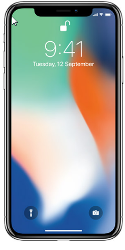 2018-01-19 11_39_46-Apple iPhone X Price and Technical Details - Singtsgcn.png