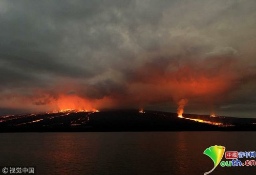 厄瓜多尔伊莎贝拉岛火山爆发 岩浆流淌成河异象的启示4.jpg