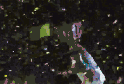 640.gif