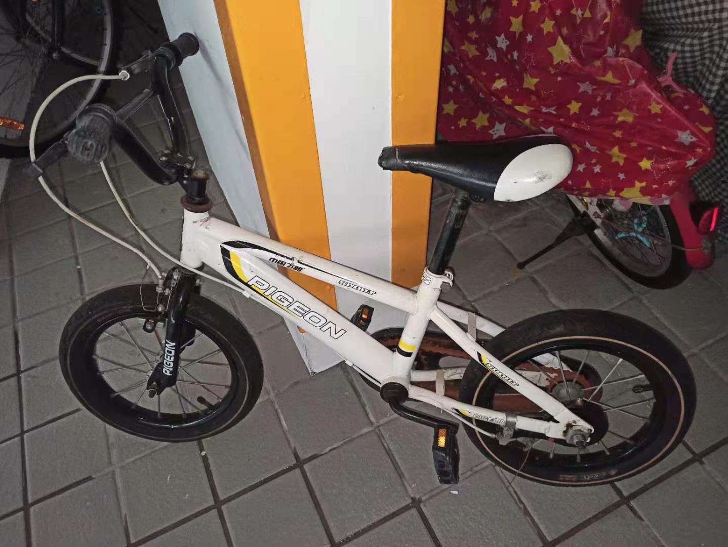 12 inch bike.jpg