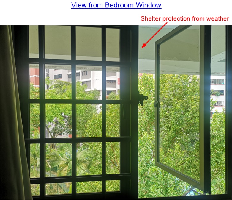 Bedroom Window.jpg