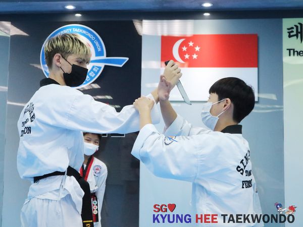 Kyunghee Taekwondo 14.jpg