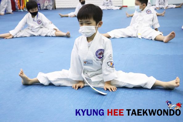 Kyunghee Taekwondo 1.jpg