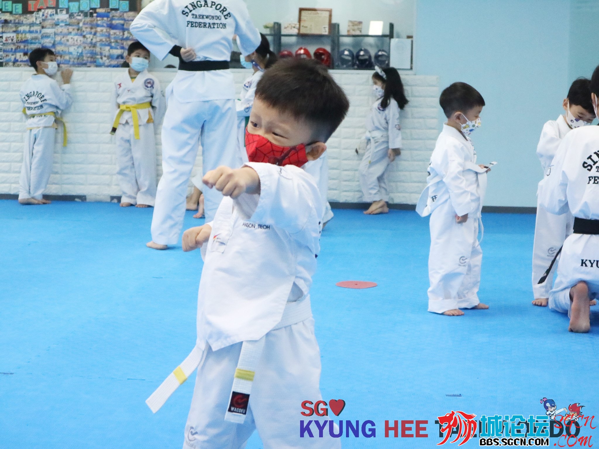 Kyunghee Taekwondo 2k.jpg