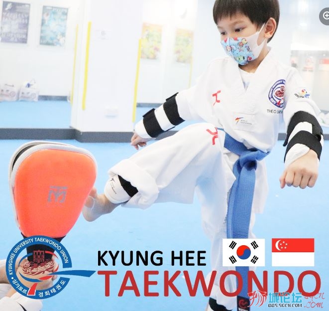 Kyunghee Taekwondo 2b.JPG