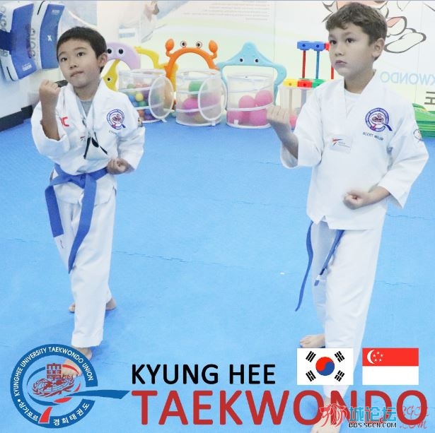 Kyunghee Taekwondo 2n.JPG