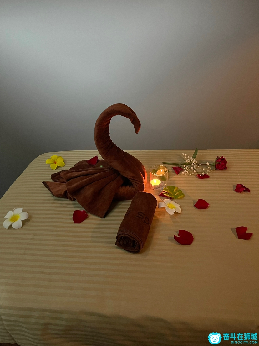新加坡靠近绿线MRT一号SPA按摩店招按摩女技师及学徒
